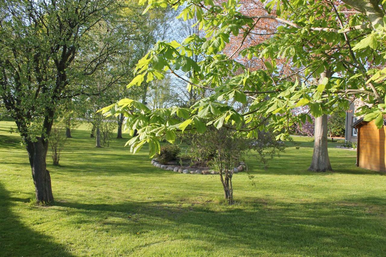Fewo An Der Muehle Hasselberg  Exteriör bild